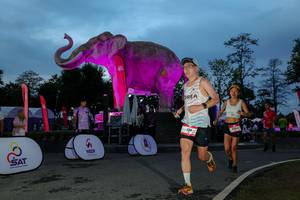 BIB: 
                            <button type="button" onclick="openModal(26529754)" class="btn btn-primary btn-sm float-right btn-popup" data-toggle="modal" data-target=".modal-high-quality">
                        <i class="fas fa-shopping-cart"></i> Add to Cart
                    </button>
                                            <button type="button" onclick="isThisMe(26529754, true)" class="btn btn-success btn-sm float-right btn-popup btn-isme hidden" data-toggle="tooltip" data-placement="bottom" title="นี่คือรูปของคุณใช่ไหม คลิกที่นี่เพื่อเอาเข้าอัลบั้ม">
                        <i class="fas fa-plus"></i> Add to album
                    </button>
                    <button type="button" onclick="isThisMe(26529754, false)" class="btn btn-warning btn-sm float-right btn-popup btn-isnotme hidden">
                        <i class="fas fa-ban"></i> Remove from album
                    </button>